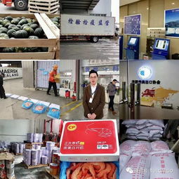 上海贸联国际货运 专注危化品 食品 大件运输服务